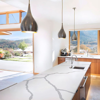 Artificial Stone/ Acrylic Solid Surface Sheet/ Artificial Marble/ Kitchen Countertops/ Shower Walls